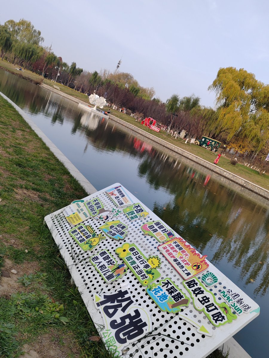 Matteo Morelli tweet media