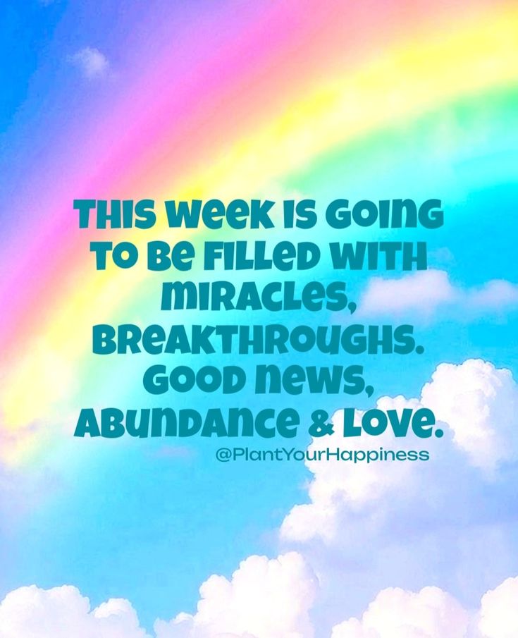 Mister Gadget tweet media