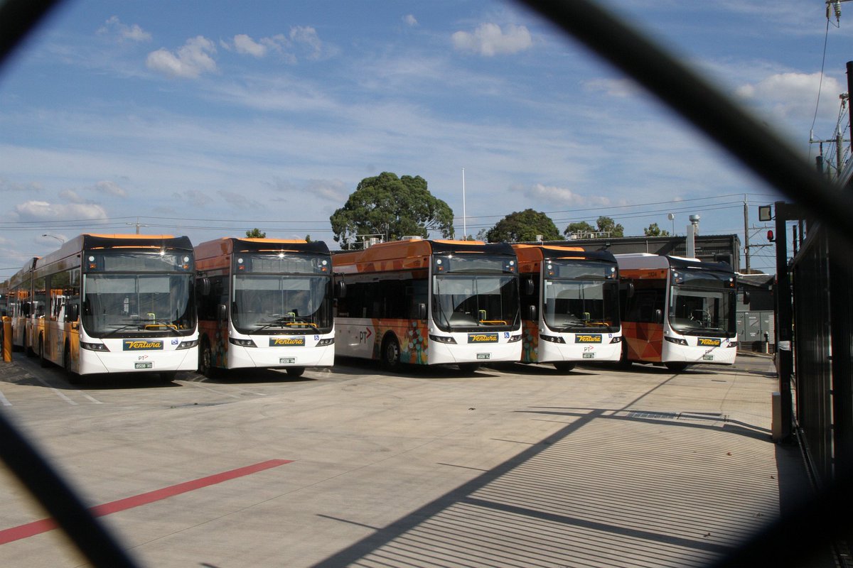 Marcus Wong tweet media