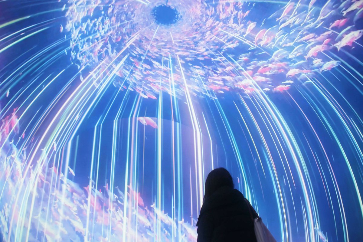 Time Out Tokyo JP tweet media