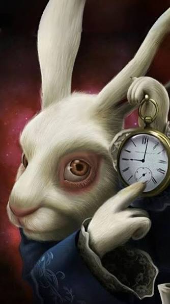 lieber 失望🫀 tweet media