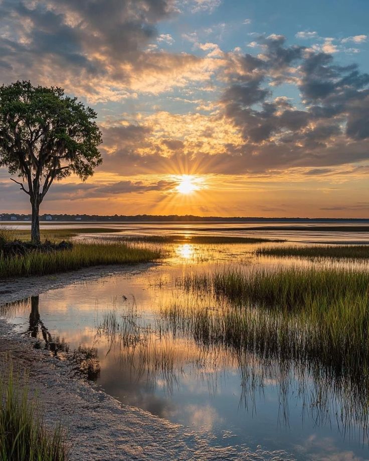 Francesca Elisa Olivia Angiolini tweet media