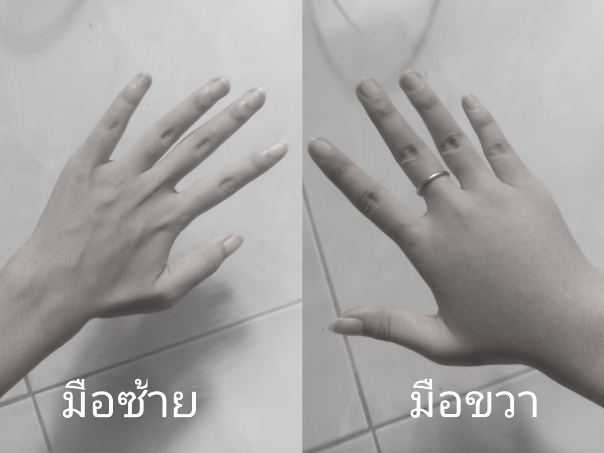 Zabrina🦇🖍【V-Artist】 tweet media