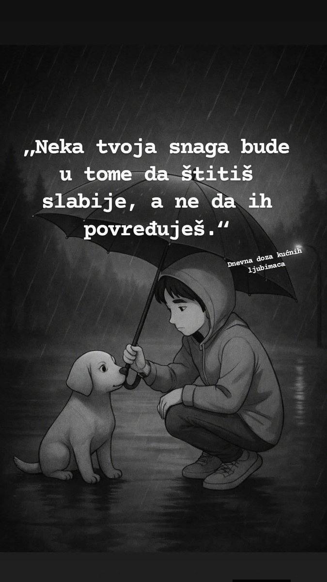 ludi milojko tweet media