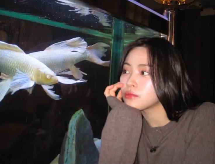 Forever for Ryujin🐱| Actress Shin Ryujin🪼🪒🕵️ tweet media