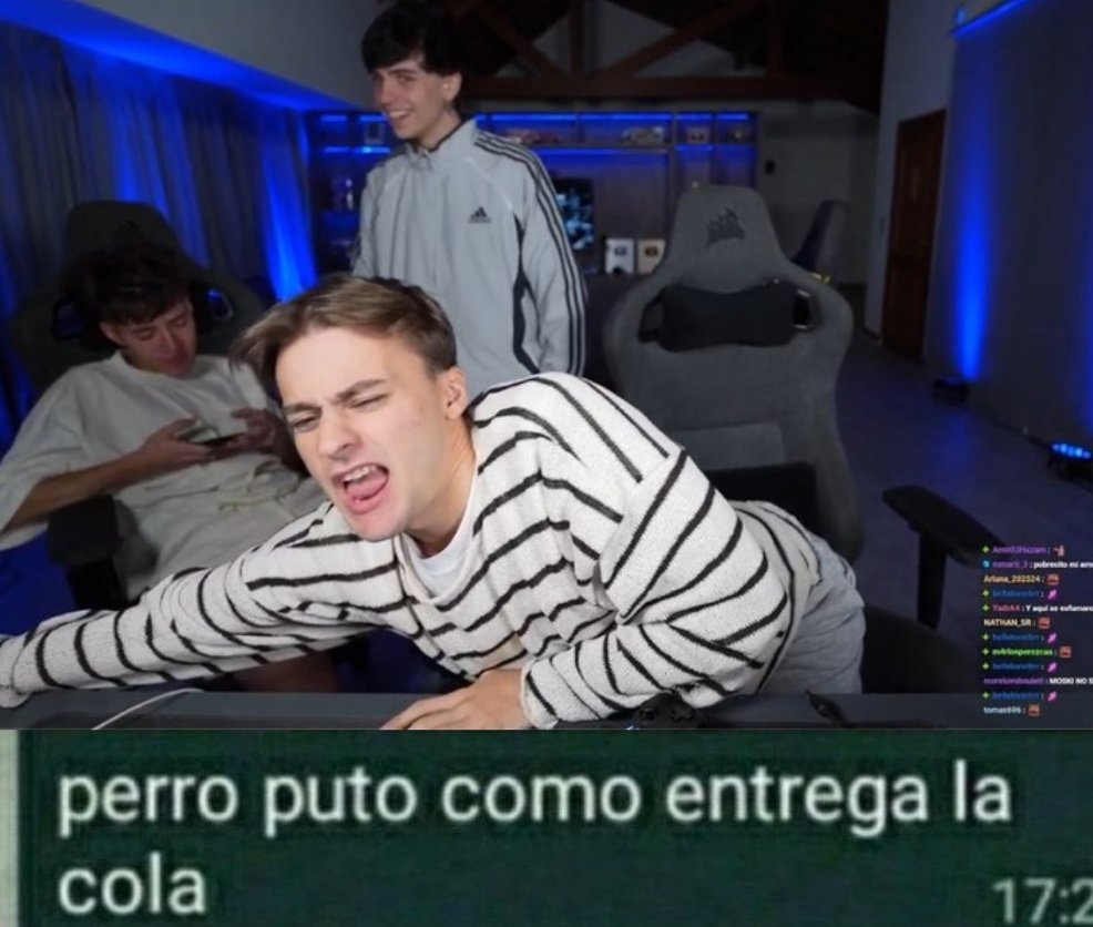 moski as perritos 🐾 tweet media