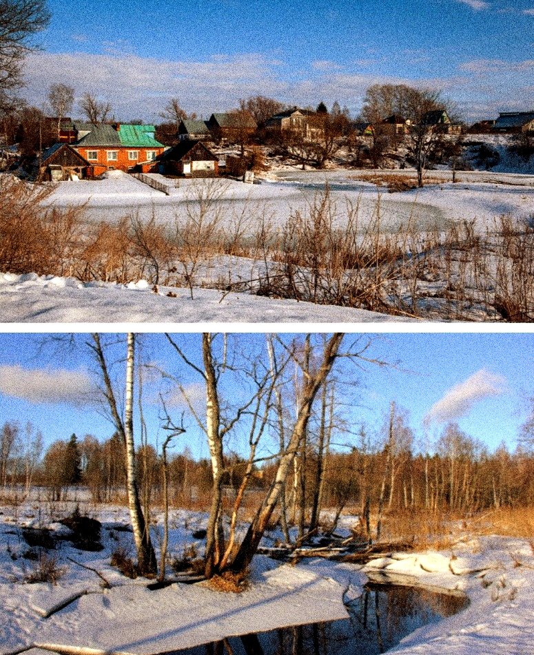 Сергей Лесник tweet media