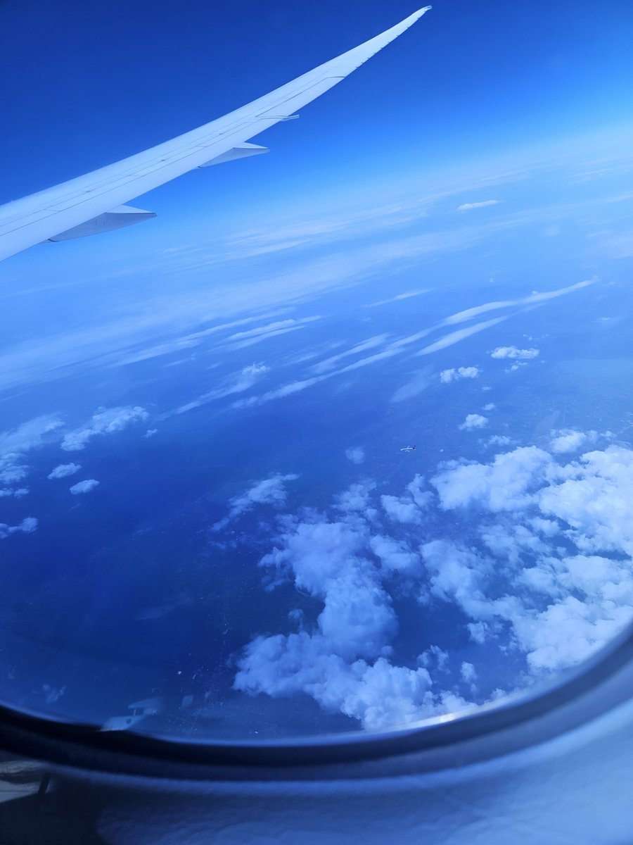 Ivan Bullish tweet media