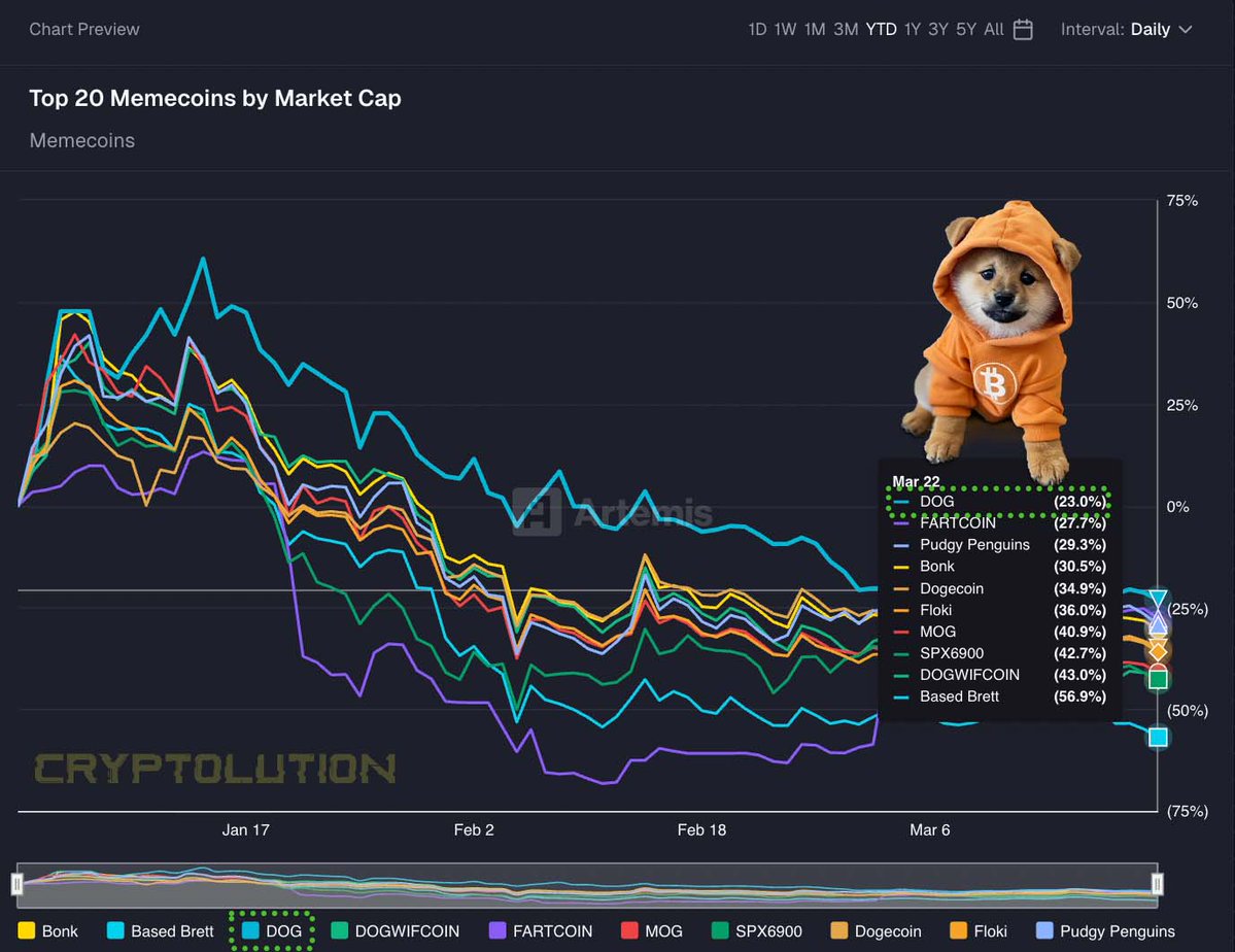 Vincent (Cryptolution) 👑 tweet media