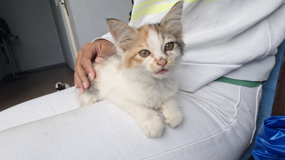 ℘ꪱׁta tweet media