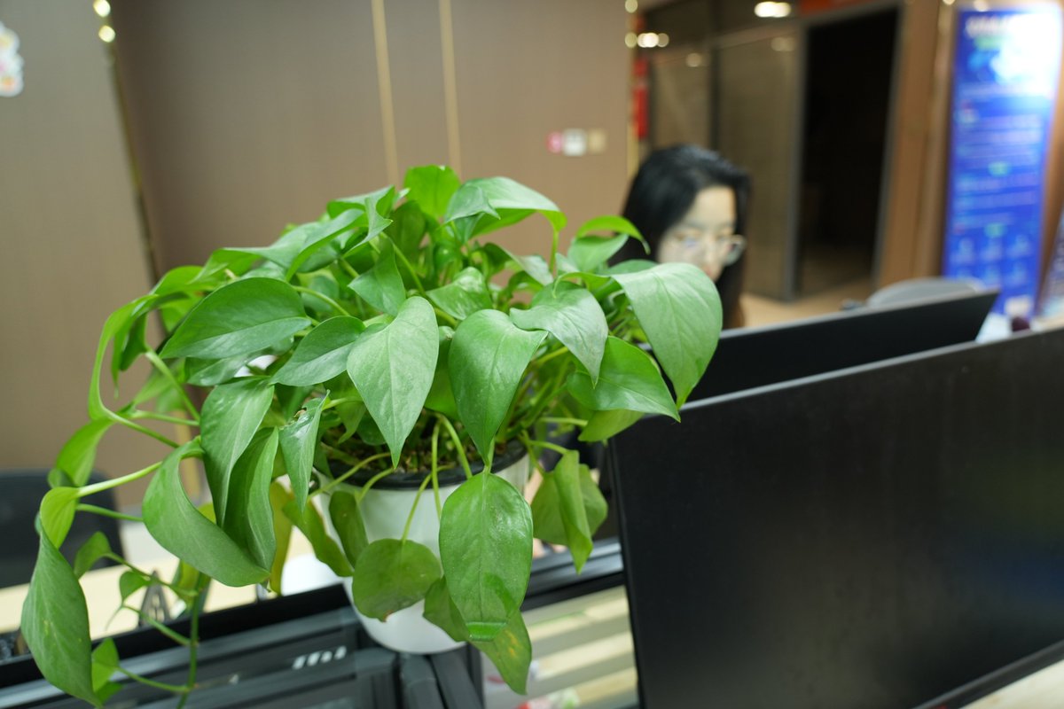 Charley Long tweet media