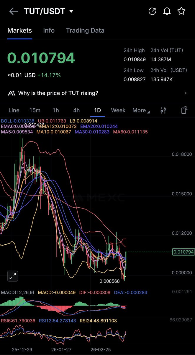 💎Crypto GEM’s INVESTOR💎 tweet media