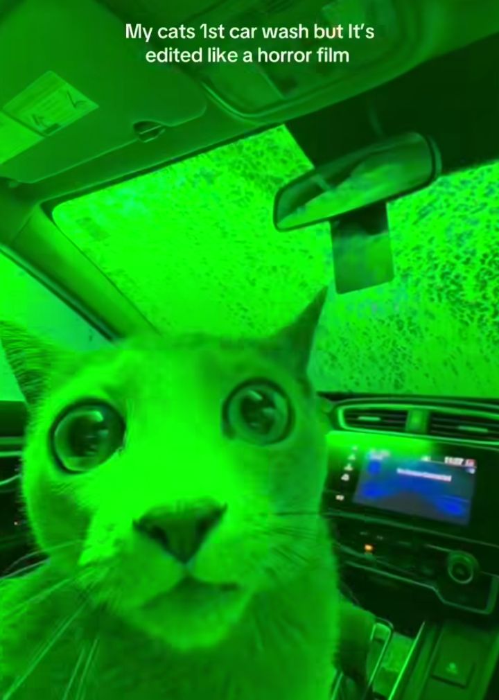 Lumaz 🏳️‍⚧️ tweet media