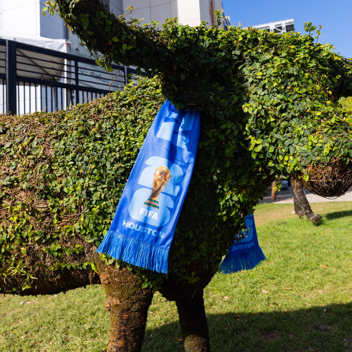 FIFA World Cup 26 Houston™ tweet media