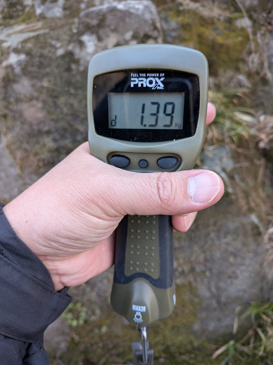 bass19890510's tweet image. 二日酔いフィッシュでございます🎣
少し休んで夕マズメも行こうかな…🙄