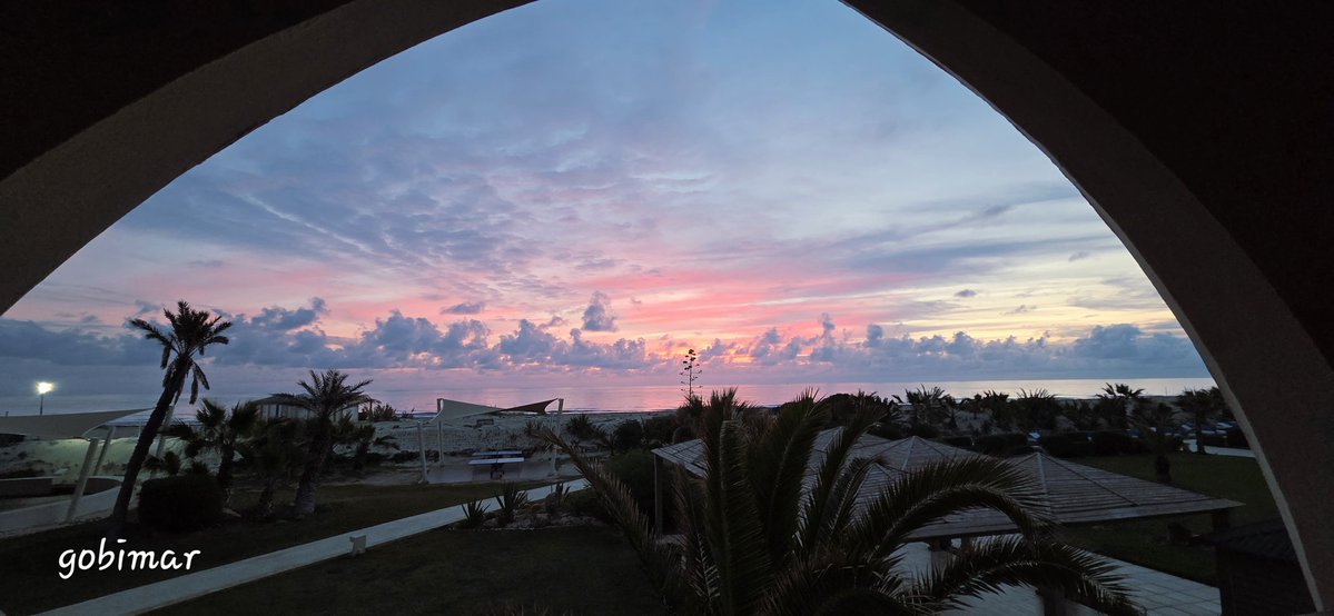 Gobimar ! tweet media