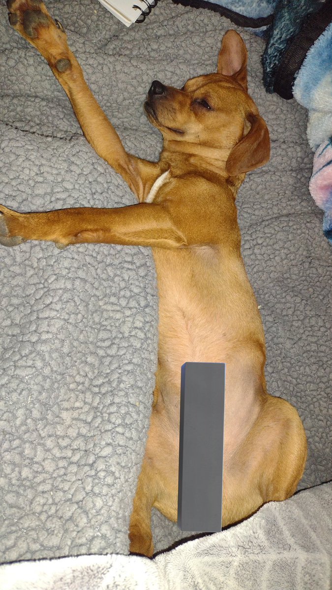 𝙲𝚑𝚎𝚜 𝚘𝚏 𝚜𝚑𝚎𝚍𝚝𝚠𝚝★ tweet media