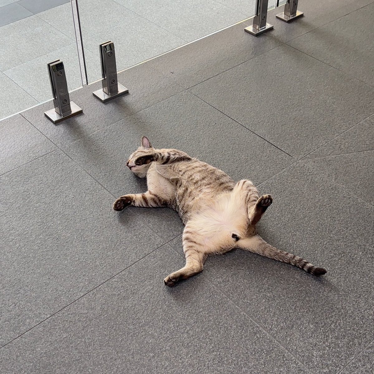 tuay🍃 tweet media