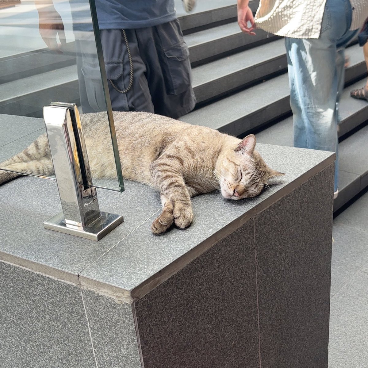 tuay🍃 tweet media