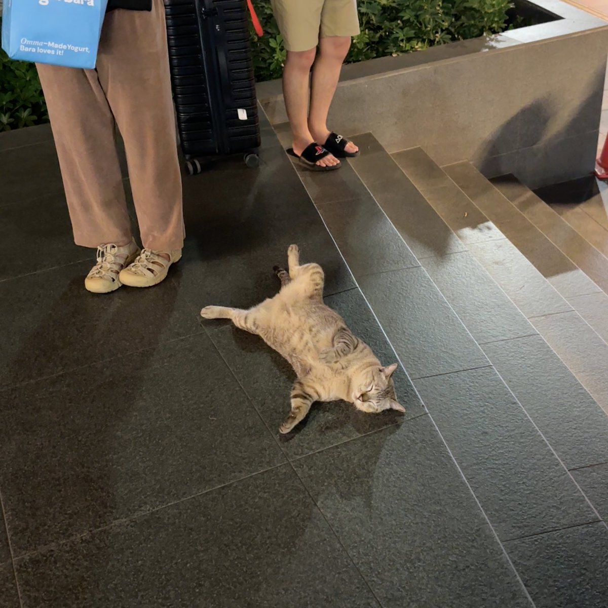 tuay🍃 tweet media