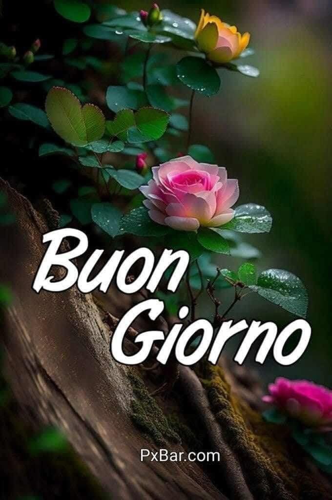 Meroni Daniele tweet media