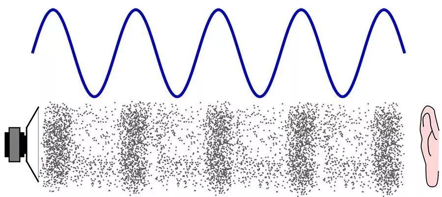 louise smith tweet media