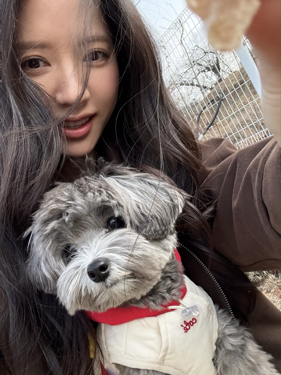 김쪼리 tweet media