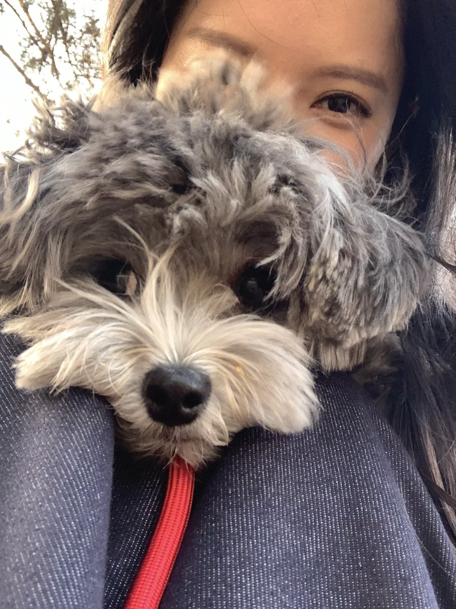 김쪼리 tweet media