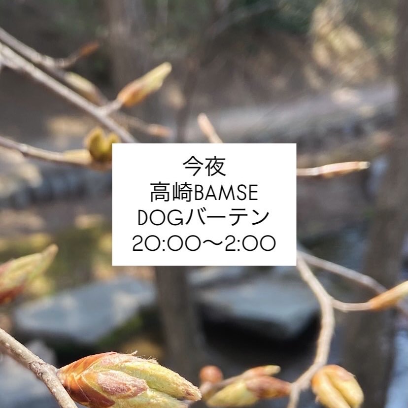 犬塚"DOG"悠太 tweet media