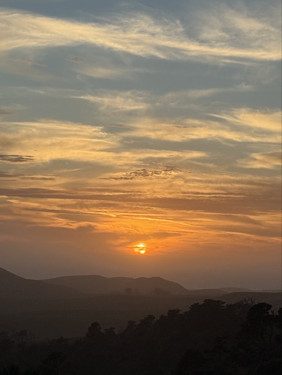 The West Marin Feed tweet media