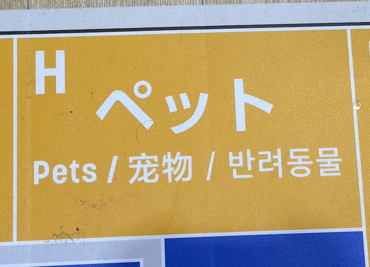 ボニボニア tweet media