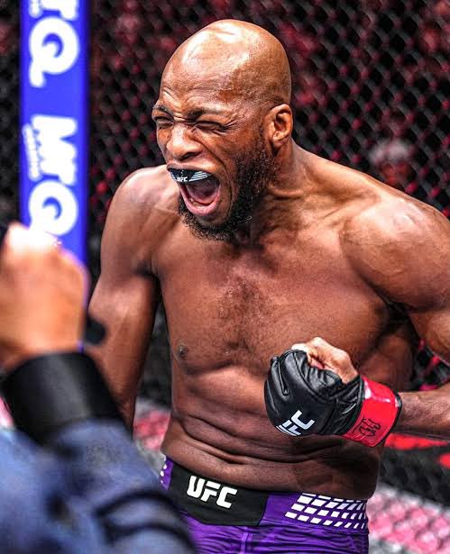 Elonov 🇦🇺 tweet media