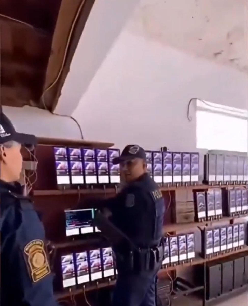 TheBlueEyedLion tweet media