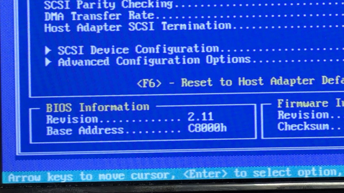 れな💚IT系志望女子🍓 tweet media