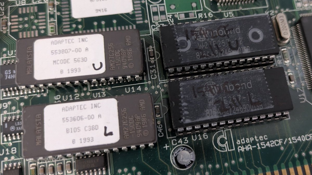 れな💚IT系志望女子🍓 tweet media