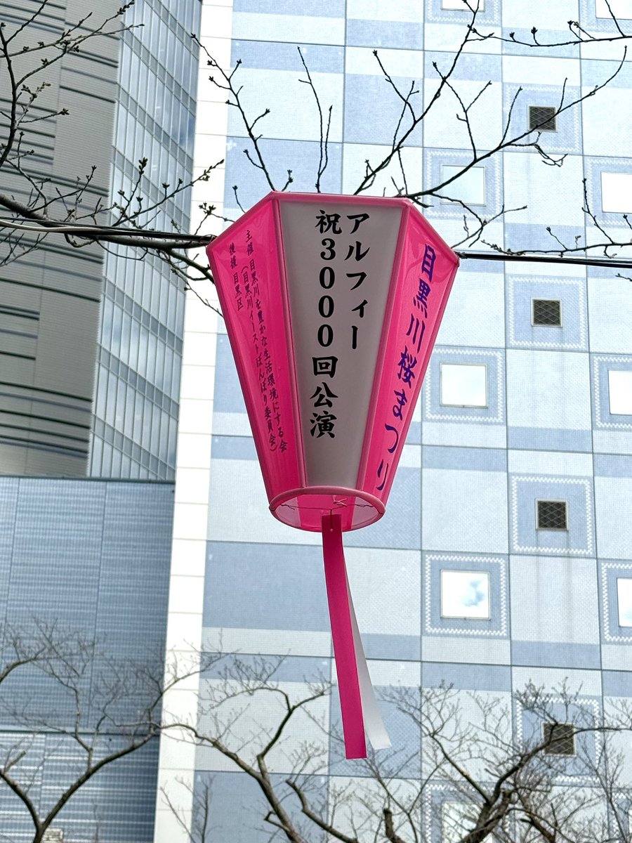 きょんAL tweet media