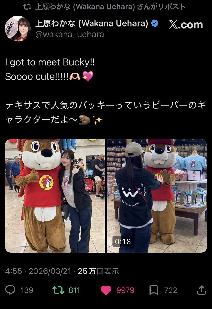 ぶらコロリ tweet media