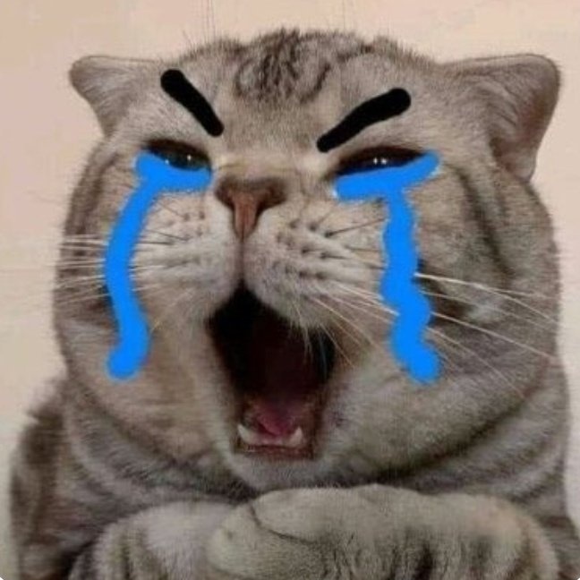 Ruhani 🧋 tweet media