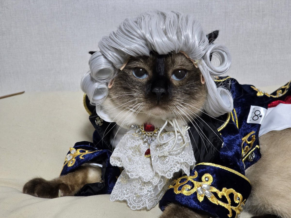 앵알이 tweet media