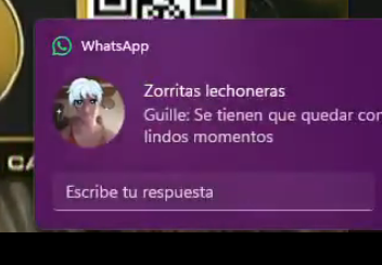 Boffe GP tweet media