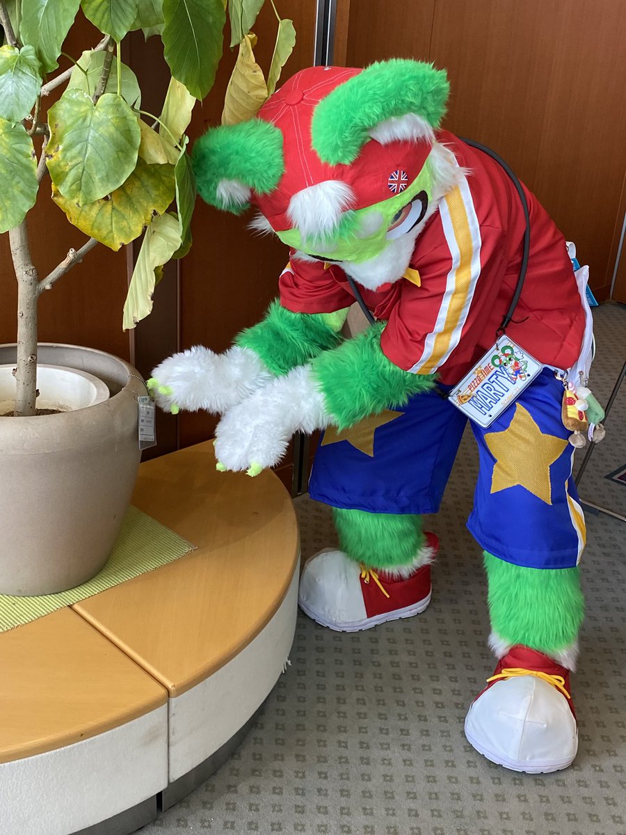 🔰たくみ🔰 tweet media