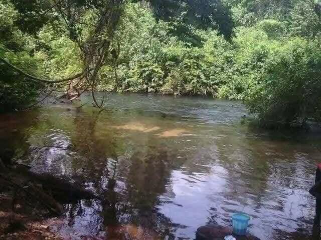 ink_insighcth's tweet photo. One of Nigeria’s most mysterious places 🇳🇬 is the cursed Inachalo River in Idah town, Kogi State.

It’s believed that any fish caught there will never cook, no matter how much heat is applied.

Below explains the reason why ⤵️ https://t.co/gMvcXciBIV