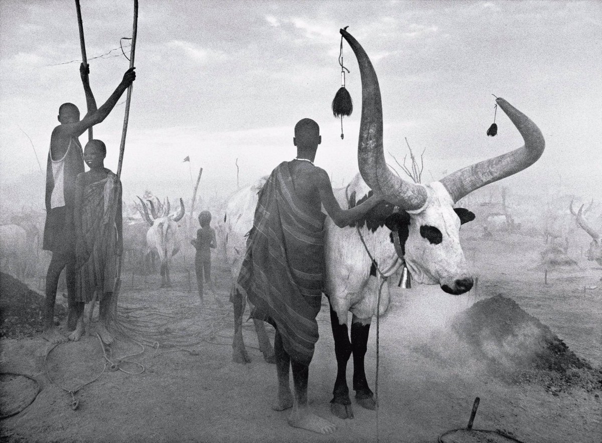 Eye On Axis tweet media