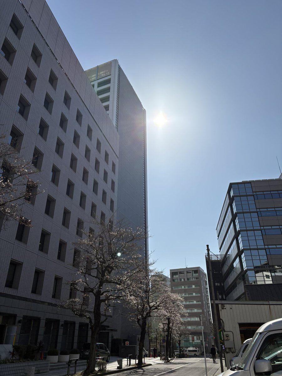millionpower229's tweet photo. お疲れ様です。
大宮��桜咲きました！

#企業公式が地元の天気を言い合う  #企業公式相互フォロー #企業公式フォロー祭り #桜開花 https://t.co/WdGQnMpdqE
