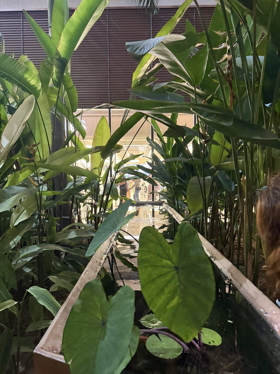 ☆⋆。𖦹°‧★⋆ Z5 Mich tweet media