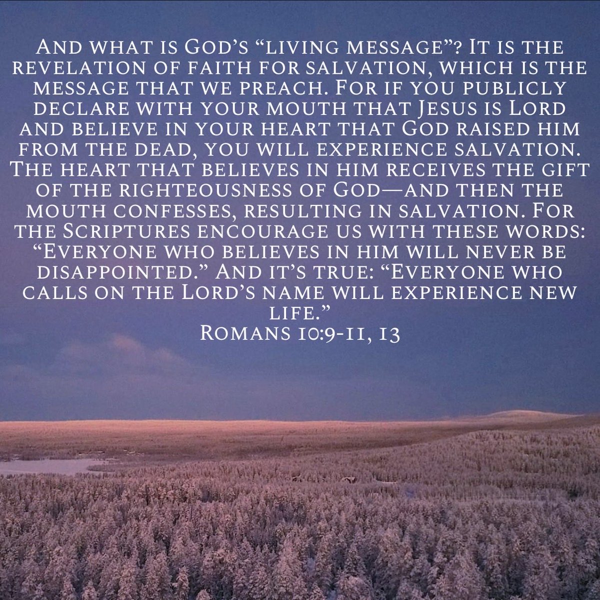 Promise Vendor tweet media