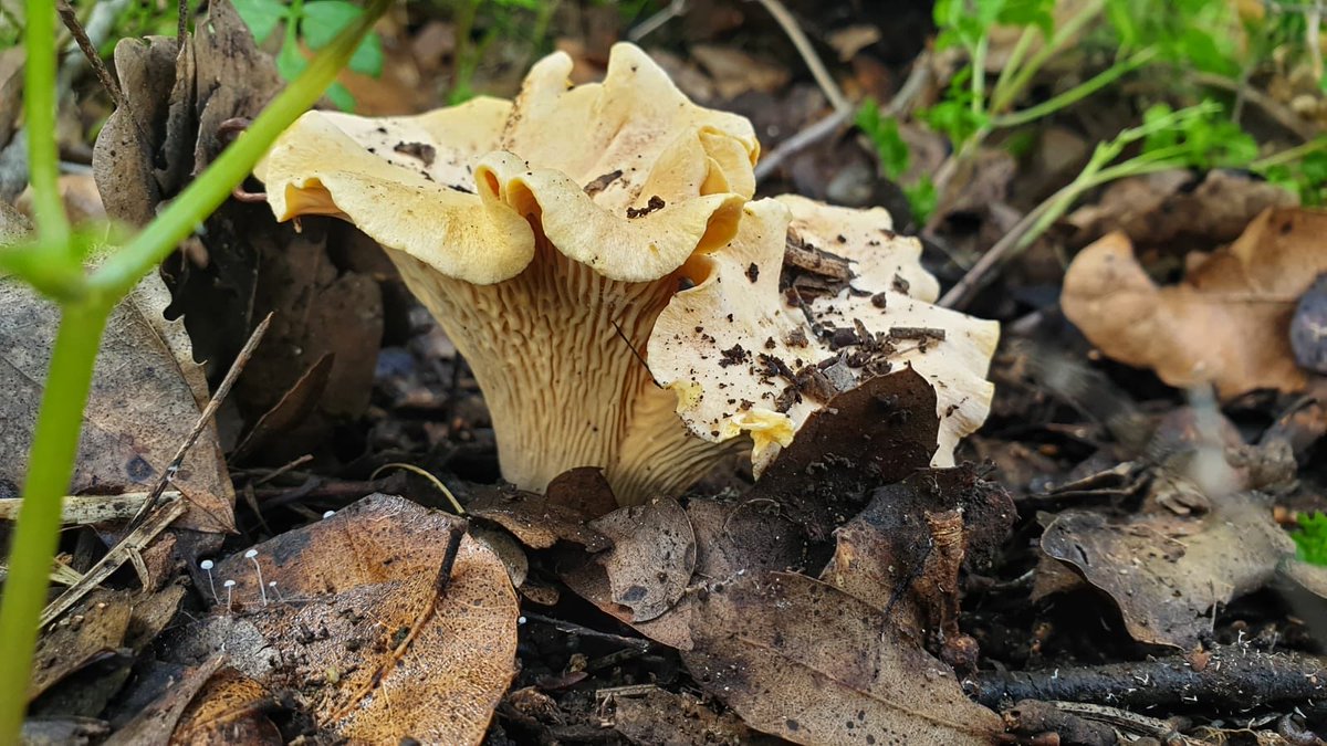 𝐒Ѳㄥ tweet media