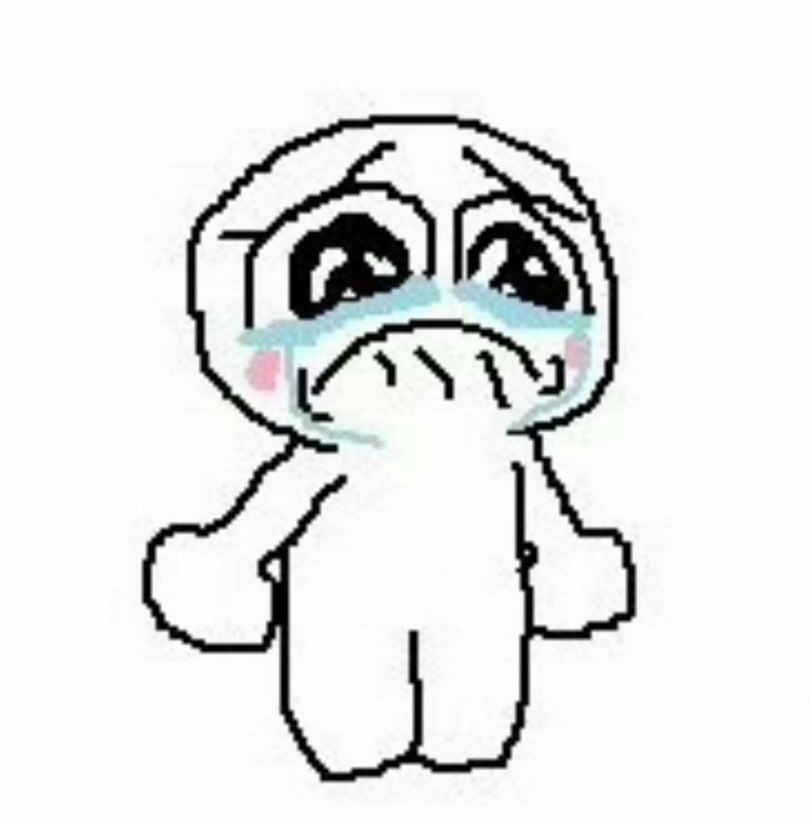 noa 🎵 tweet media