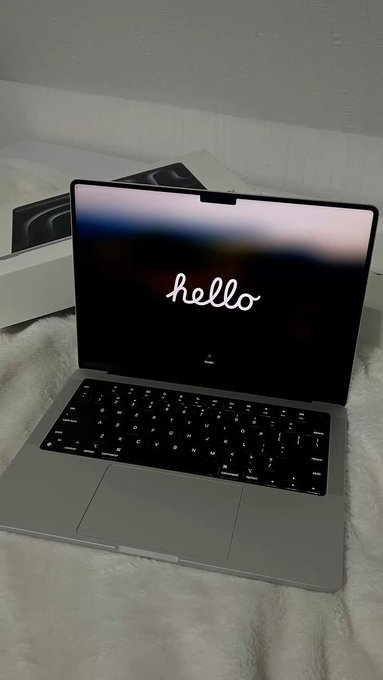 Anaya 🌸 tweet media