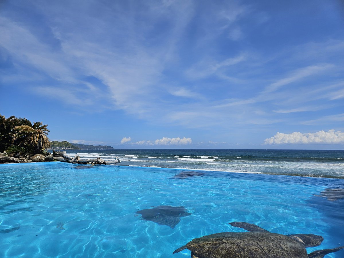 もえか✏️ tweet media